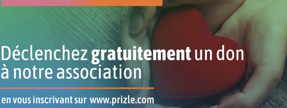 prizle-2-1000×377